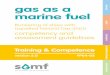 gas as a technical marine fuel - golng.eu · BOG – Boil Off Gas, the vapour created by the evaporation of part of the LNG BLEVE – Boiling Liquid Expanding Vapour Explosion, an