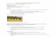 Horses and Humans: Shackleford Horses Unit · Explain thedifferencebetween conceptsof rules,rights,and responsibilities Recognizethatprotectingtherightsofothersis sometimesmoreimportantthan
