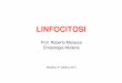 LINFOCITOSI - medibaseareanord.it · I Large Granular lymphocytes (LGL) sono una sottopolazione di linfociti che normalmente rappresentano 10-15% delle cellule monoculeate totali