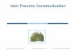 Inter Process Communication - polito.it · Operating System Concepts – 8 th Edition, Silberschatz, Galvin and Gagne ©2009 Inter Process Communication Modified by M.Rebaudengo -