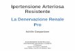 Ipertensione Arteriosa Resistente - .Ipertensione Arteriosa Resistente La Denervazione Renale Pro