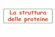 La struttura delle proteine - Homepage | D .La struttura delle proteine . ... (si considera la disposizione