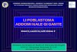 LIPOBLASTOMA ADDOMINALE GIGANTE - chped.itchped.it/gico/cc lipoblastoma addom. gigante rossi firenze 2007.pdf · ADDOMINALE GIGANTE CATTEDRA DI CHIRURGIA PEDIATRICA – UNIVERSITA’