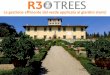 La gestione efficiente del verde applicata ai giardini storici Viskanic... · precisioni tra i 0,3-1,0 m. ... La sicurezza degli alberi Linee guida pubblicate dall’Associazione
