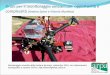 Droni per il monitoraggio ambientale: opportunità e ... · Possibili campi applicativi per i droni in Arpa Monitoraggio siti industriali Applicazioni legate al Centro Funzionale