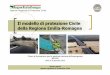Il modello di protezione Civile della Regione Emilia ... Protezione Civile Emilia... · Territoriale (STB, CB, AIPO) Centro Funzionale SDSB SGSS Province UTG Comuni Cittadini. 