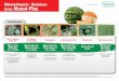 Melone/Anguria - Nutrizione Linea - Nutrizione Linea FASI FENOLOGICHE Il posizionamento dei prodotti è da considerarsi indicativo e soggetto ad adattamenti in funzione delle realtà