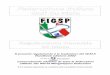 Federazione Italiana Golf Su Pista - win.figsp.itwin.figsp.it/files/download/regolamenti/regolamento di gioco.pdf · 2.2 REGOLE STANDARD – MARCATURE (SAG) 2.2.1 MINIGOLF (No Mi)