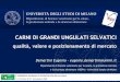 CARNI DI GRANDI UNGULATI SELVATICI - Home - S.I.E.Fsief.it/data/documents/2017.SIEF.Demartini_CARNI-DI-GRANDI-UNGULA... 