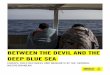 Italy: Between the Devil and the deep blue sea: Europe ... · 2017/Rapporto_annuale_2017_ITA.pdf;  . ... latter operating as part of operation EUNAVFOR Med Sophia, 