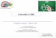 Cannabis e CBD - lice.it · Cannabis Sativa : può arrivare fino ai 4 m di altezza , fioritura tra le 9-12 w ... Coltivazione della cannabis in condizioni standardizzate . CANNABIS