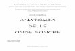 ANATOMIA DELLE ONDE SONORE - Mario Sandri · Anatomia delle onde sonore Mario Sandri ... velocità e accelerazione ... una forza di richiamo e dunque è diretta in senso contrario