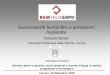 Geocompositi bentonitici a prestazioni .â€¢ Prestazioni in termini di compatibilit  e capacit 