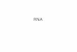 RNA - Moodle@Units · Wr descrive il superavvolgimento, che può presentarsi in due forme: plectonemico (l’asse della doppia elica è avvolto su se stesso) o toroidale (l’asse
