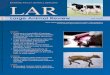 02/15 Large Animal Review ISSN: 1124-4593 - arpi.unipi.it · Caratteristiche qualitative del latte e del formaggio Caciocavallo nella razza bovina Podolica RIASSUNTO La razza bovina