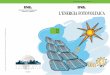 ENERGIA DAL SOLE - solaritaly.enea.itenergia fotovoltaica.pdf · ENERGIA DAL SOLE La tecnologia fotovoltaica consente di trasformare, direttamente e istantaneamente, l’energia solare