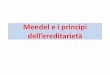 Mendel e i princìpi dell’ereditarietà Mendel e i... · Gregor Mendel formulò le leggi di base dell’ereditarietà Prima di Mendel si credeva all’ereditarietà per mescolanza