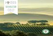 ITALIAN WINE SCHOLAR - Vendange Institutevendangeinstitute.com/images/IWS_Brochure.pdf · The development of the Italian Wine Scholar™ program was a result of industry ... Master