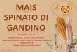 “SPINATO DI GANDINO” - mais-spinato.com spinato di Gandino aprile... · La ricerca dello storico mais ha portato nel 2008 al ... IEFE - Istituto di Economia e Politica ... note