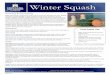 Winter Squash - Montana State University · Winter squash should be harvested at maturity (80 ‐140 days depending on ... To steam or boil cubed squash, place pieces into pan of