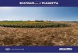 RAPPORTO 2018 - sustainability18.barillagroup.com · uno strumento internazionale pubblico di analisi e comunicazione ... supporto agli agricoltori per le decisioni tecniche quali