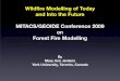 Wildﬁre Modelling of Today and Into the Future MITACS ...forestfire/MITACS_GEOIDE_Conference_2009/... · Wildﬁre Modelling of Today and Into the Future MITACS/GEOIDE Conference
