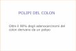 POLIPI DEL COLON - .adenoma tubulare adenoma villoso adenoma tubulo-villoso adenoma serrato polipo