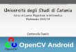 OpenCV Android - dmi.unict.it 13 - open Cv.pdf · –Riconoscimento di forme e colori –Realtà aumentata –Identificazione di oggetti –Matching di immagini –Camera calibration