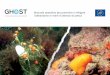 Manuale operativo per prevenire e mitigare l'abbandono in mare … · Criteri per la definizione di un sistema di gestione degli attrezzi da pesca ed acquacoltura LINEE GUIDA PER