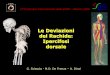 Le Deviazioni del Rachide: Ipercifosi dorsale - .del Rachide: Ipercifosi dorsale G. Sciascia - M.D