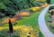 MASTER IN GARDEN DESIGN - italiandesigninstitute.com · • L’arte dei giardini- Cenni storici • Il giardino medioevale, quattrocentesco e rinascimentale • Lo splendore dei