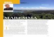 MAREMMA - aur.edu Hodges Maremma.pdf · Mining the Maremma Context matters. The Etruscans made the Maremma, mining its metals. These were exported through emporia like Populonia