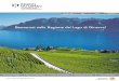 Benvenuti nella Regione del Lago di Ginevra! - Svizzera unicasvizzeraunica.it/RegioneLagoGinevra.pdf · La Regione del Lago di Ginevra (Cantone di Vaud) è situata nella parte sud-occidentale