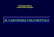 IL CARCINOMA COLO-RETTALE - · PDF fileIl carcinoma colorettale, con i dovuti distinguo, è un tumore dell’anziano. ... • Stato del colon (presenza di “large adenoma” è una