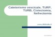 Cateterismo vescicale, TURP, TURB, Cistectomia, Nefrectomia .Cateterismo vescicale Il Cateterismo