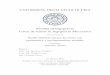 UNIVERSITÀ DEGLI STUDI DI PISA - core.ac.uk · Tesi proposta per il conseguimento del titolo accademico di ... 1.3 Prove eseguite sui pneumatici ... 2.6 Introduzione ai frattali
