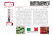 2018, l’anno del cibo italiano · del Cibo Italiano”. ... colori, confermando che il colore di base contribuisce ad esaltare il ... glia in cui l’influenza subliminale