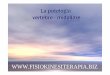 La patologia vertebro - midollare - Fisiokinesiterapiafisiokinesiterapia-news.it/download/   â€¢