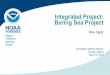 Integrated Project: Bering Sea Project · Integrated Project: Bering Sea Project Mike Sigler Alaska Fisheries ... Gann, Mordy, Moran, Lomas, ... Bloom timing matches copepod egg production