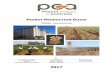 PEANUT PRODUCTION GUIDE - The Peanut Company of … · PEANUT PRODUCTION GUIDE 5 Inoculation: Peanuts are a legume so the seed needs to be inoculated with a Group P inoculant to ensure
