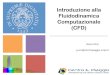 Introduzione alla Fluidodinamica Computazionale (CFD) .Introduzione alla Fluidodinamica Computazionale