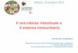 Il microbiota intestinale e il sistema immunitario - sisteweb.it Castellazzi.pdf · Il microbiota intestinale e il sistema immunitario Annamaria Castellazzi Dipartimento di Scienze