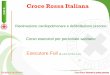 Croce Rossa Italiana · D CTS_MS Rev.01 del 15/03/2014 Croce Rossa. Persone in prima persona Cosa dire all’operatore del 118 o 112* Chi Sono io Da dove sto chiamando Quale è il