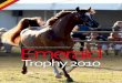 324 TUTTO ARABI trophy.pdf · Latteso campionato Stalloni vede primo "TUSCANY The much-aauaited Stallions championship by 