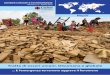 DOSSIER CON DATI E TESTIMONIANZE - Caritas Italiana · 2016-04-22 · come il terremoto che ha sconvolto il Nepal tra il 25 ... di mestieri e trasportati illegalmente in tutta la