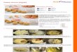 Pasta choux (bign¨) - .Pasta choux (bign¨) Categoria:Portate - Dolci e Dessert Informazioni Generali