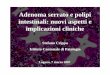 Adenoma serrato e polipi intestinali: nuovi aspetti e ... Summary â€¢ Sessile serrated adenoma,