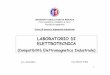 LABORATORIO DI ELETTROTECNICA - Portale Ingeg .ELETTROTECNICA (Compatibilit  Elettromagnetica Industriale)