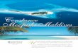 Constance Moofushi Maldives - skorpiontravel.com · n’isola definita “Gioiello”, un atollo famoso per la bellezza delle sue isole, delle barriere e delle spiagge, un brand capace