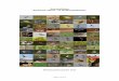 Soortenfiches Agrarisch natuur- en landschapsbeheer · bijdragen aan het handhaven of verbeteren van de staat van instandhouding van soorten van de Vogel- en Habitatrichtlijn (VHR)